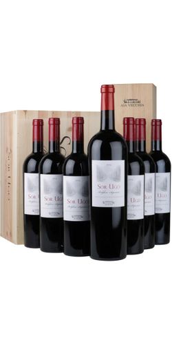Aia Vecchia Sor Ugo 6 flasker + 1 flaske magnum