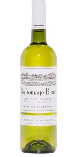 Chateau Puyfromage, Blanc 2019